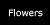 Flowers Curly Letters Growth Chart ... click for more images and ordering information